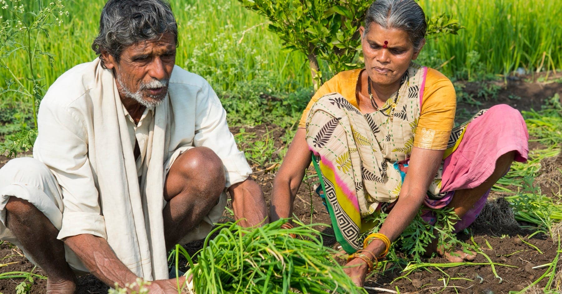 Parametric Weather Insurance for Farmers and Gig Workers: Fast Payouts When Climate Shocks Hit