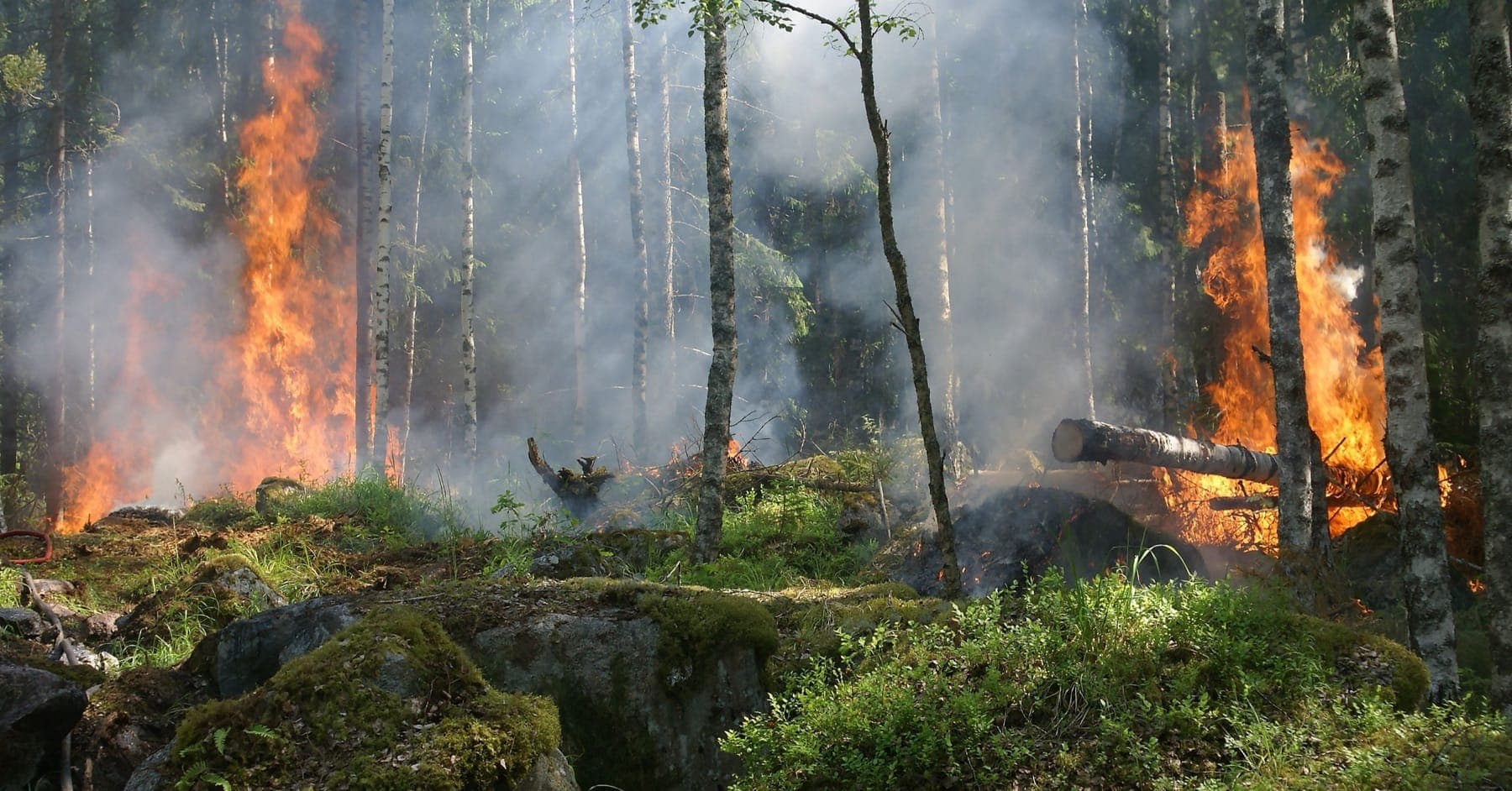The Invisible Cost of Heatwaves: How Climate Events Quietly Reduce Income and Productivity