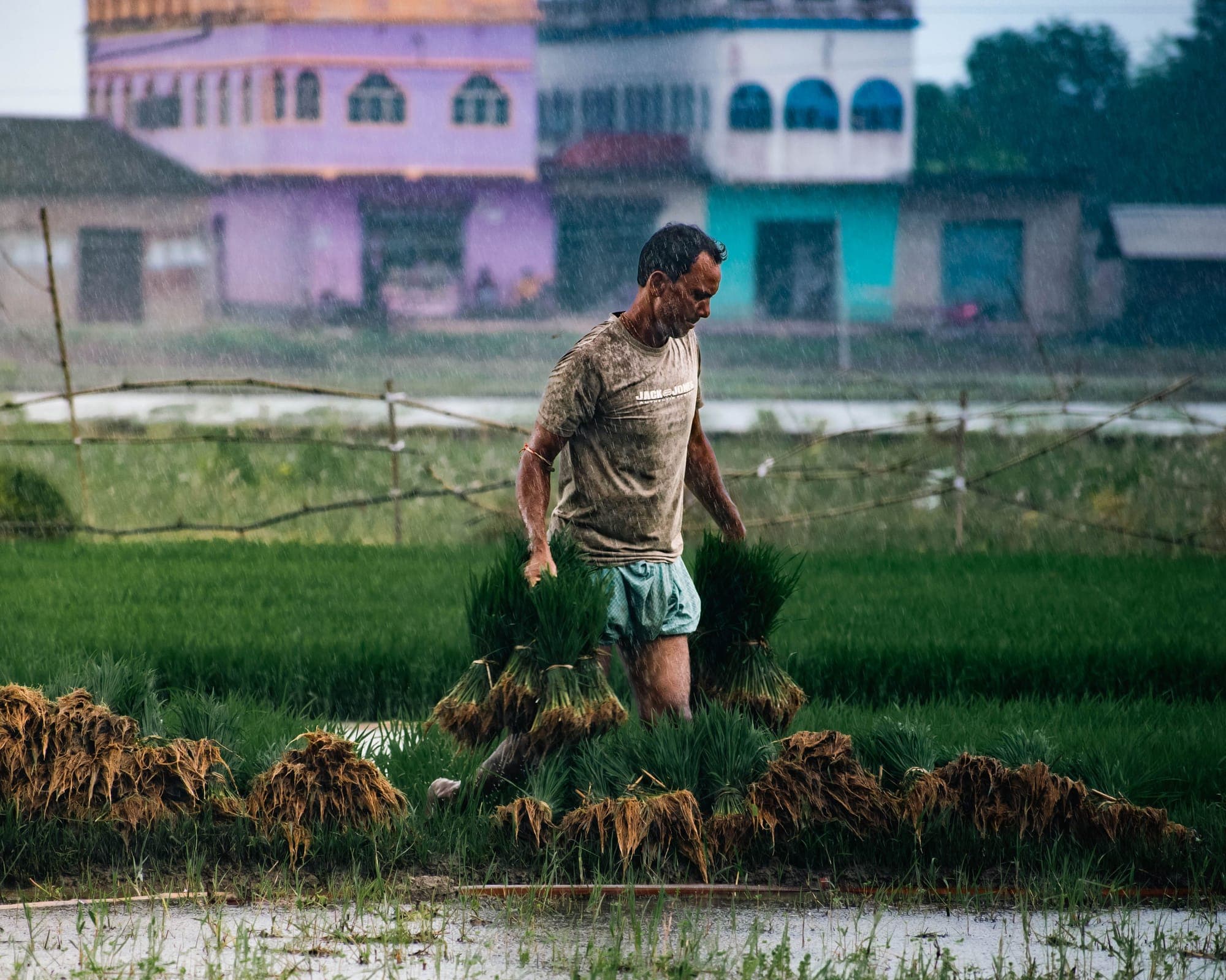 Before the Monsoon: Why India Needs Climate-Linked Financial Resilience