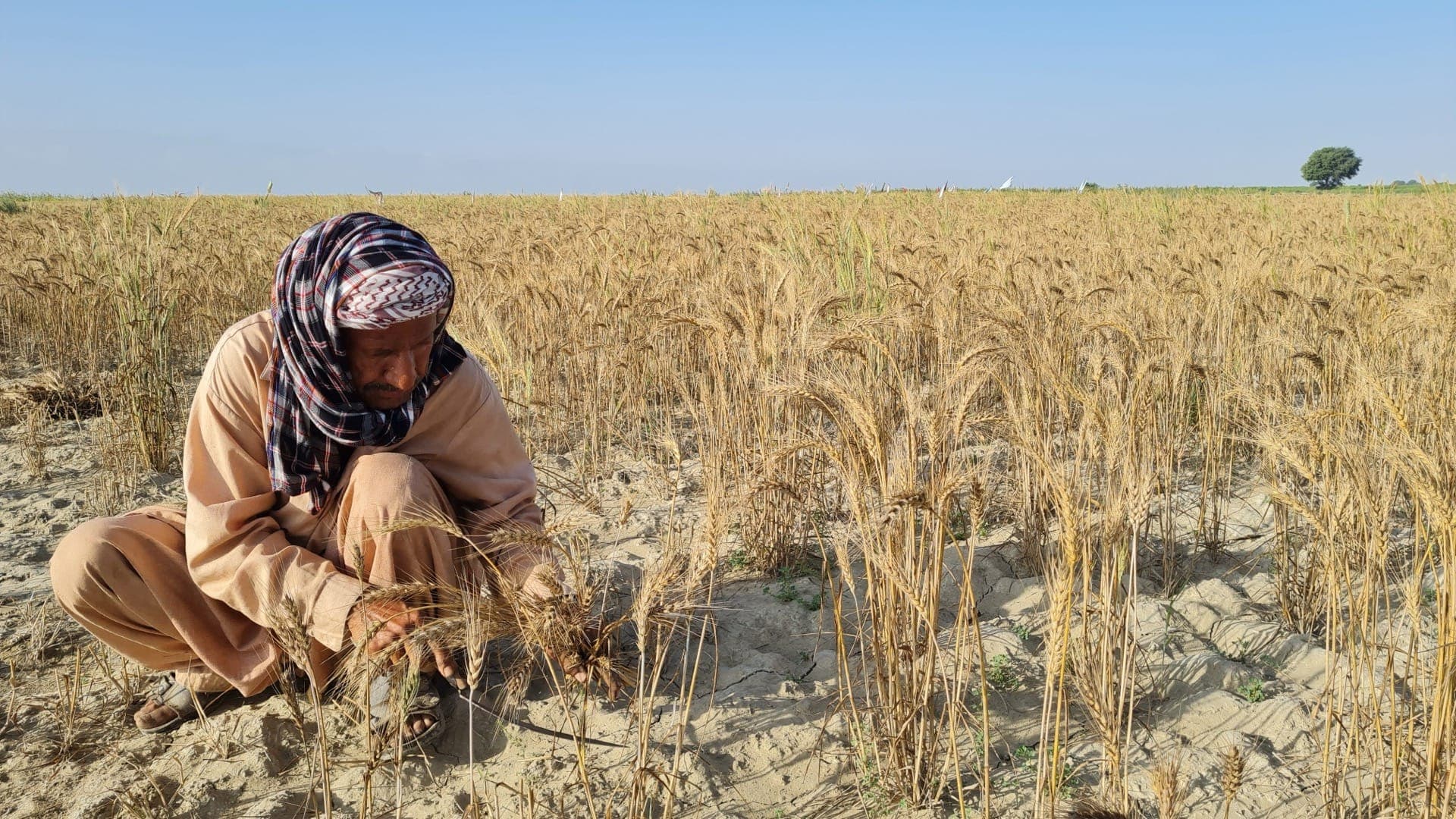 When the Crop Fails: Rethinking Agricultural Lending in a Climate-Volatile World