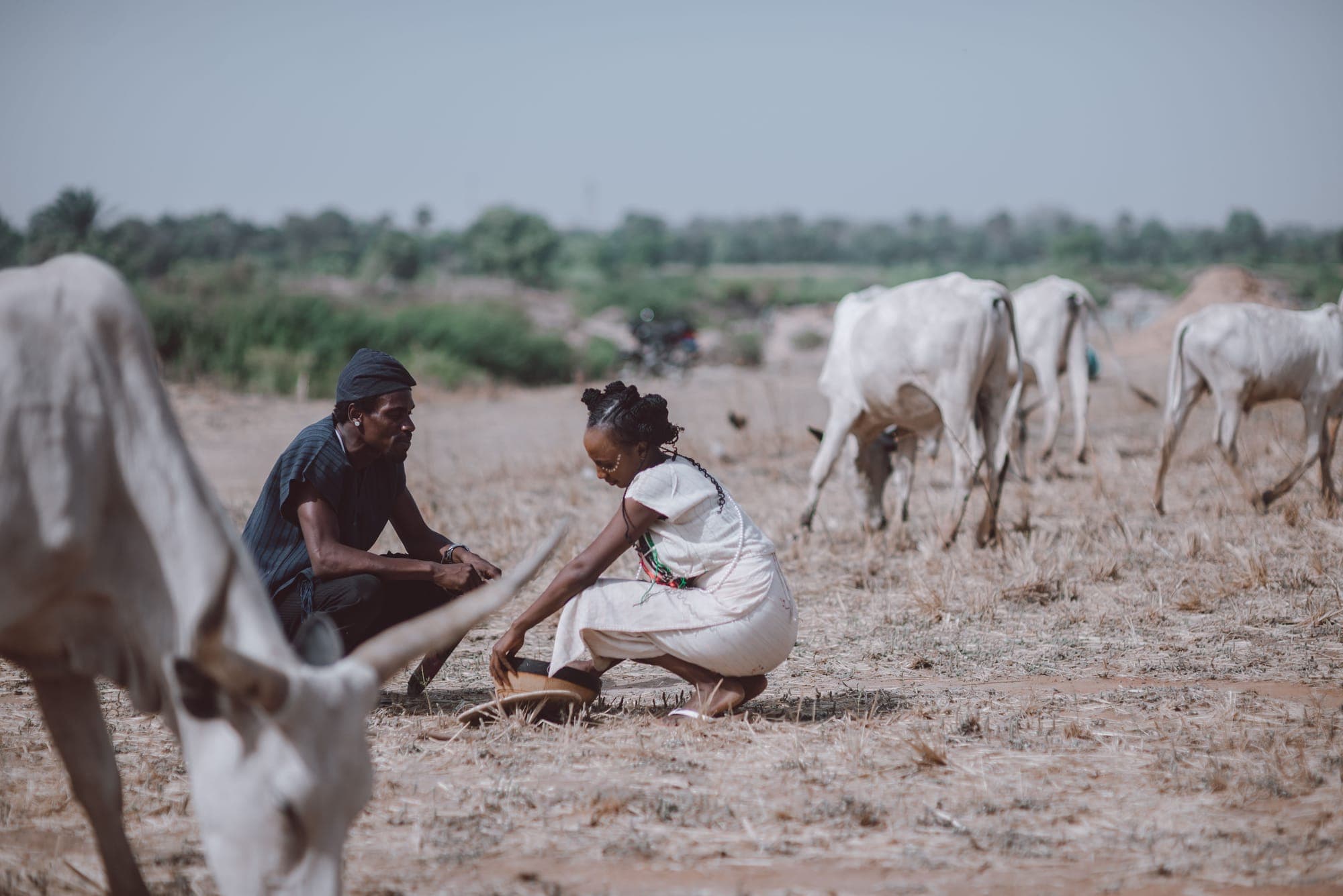 The Season That Never Came: How Drought Quietly Strips Farmers of More Than Just a Harvest