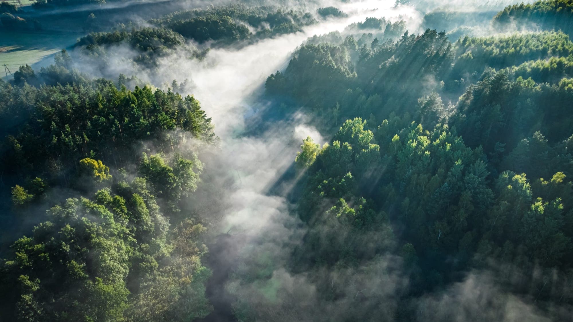 Aerial view of a forested climate landscape